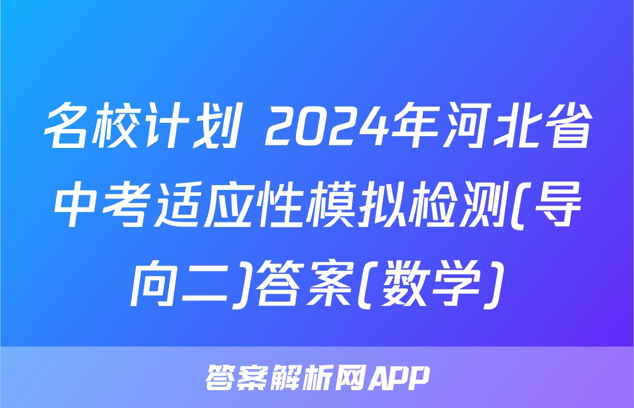 名校计划 2024年河北省中考适应性模拟检测(导向二)答案(数学)
