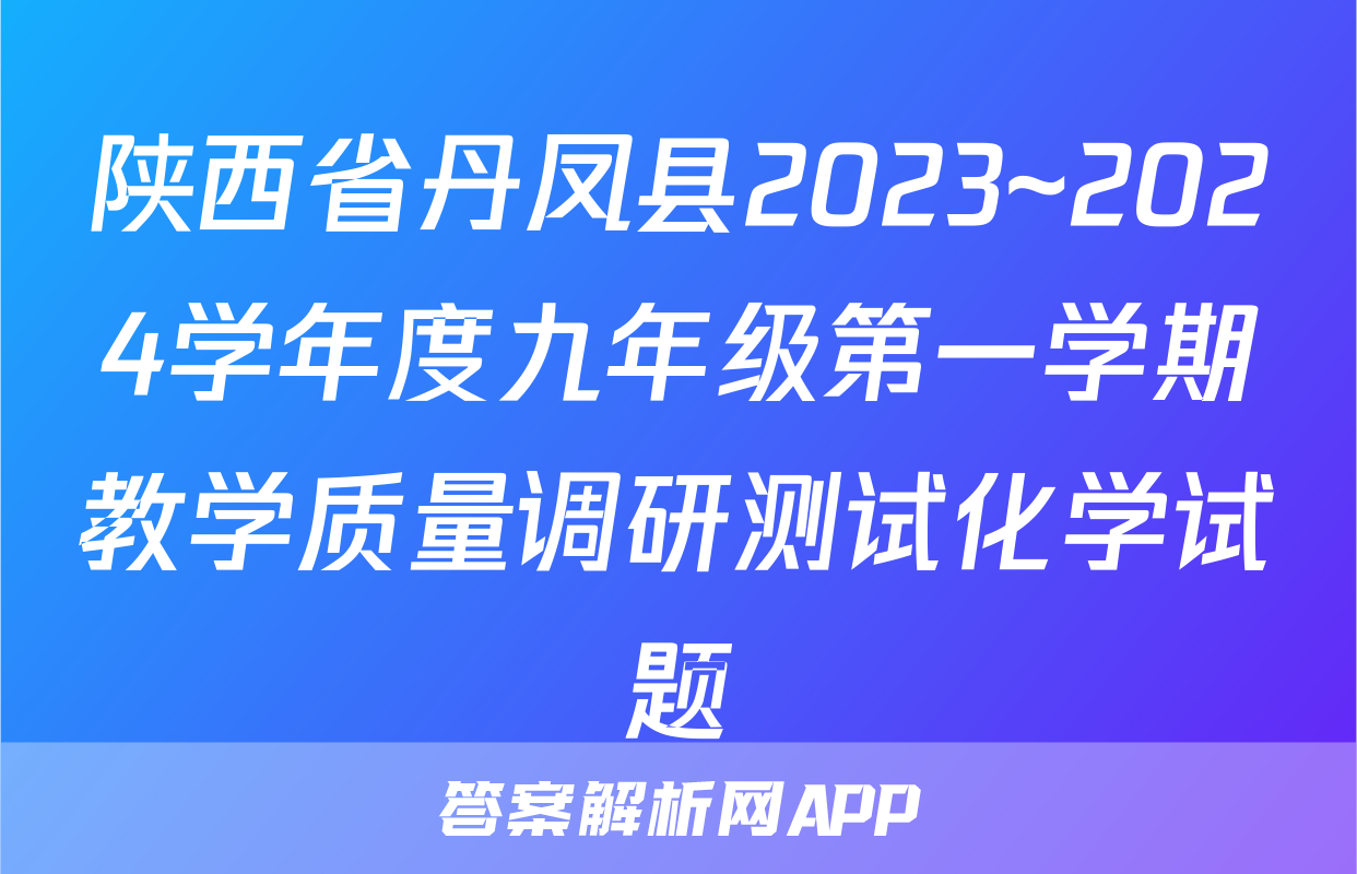 陕西省丹凤县2023~2024学年度九年级第一学期教学质量调研测试化学试题