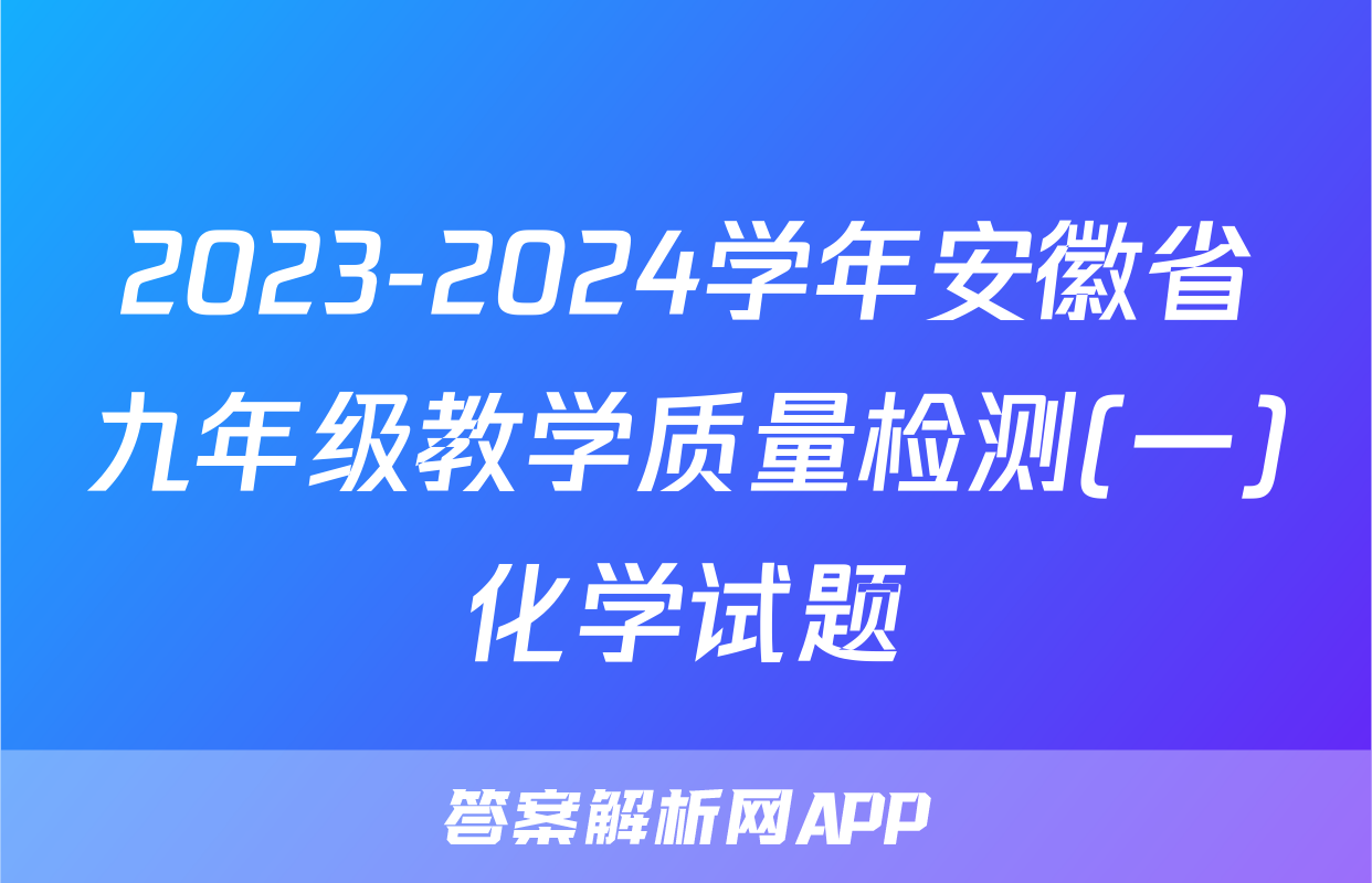 2023-2024学年安徽省九年级教学质量检测(一)化学试题